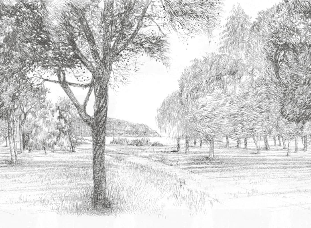 Sanguigna — 20057-2