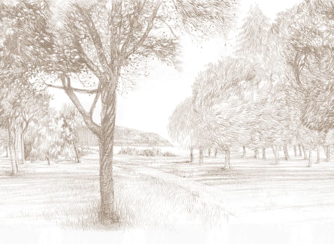 Sanguigna — 20057-3