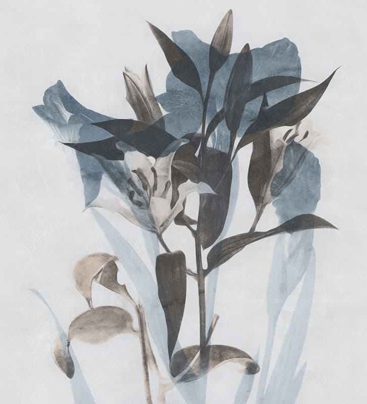 Intersezioni by Unknown