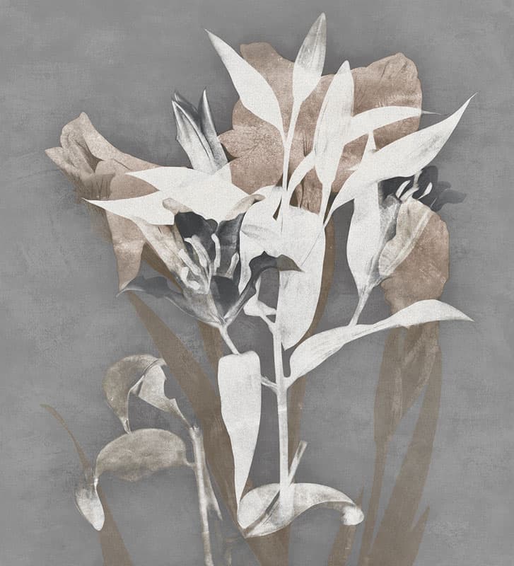 Intersezioni — 20502-02