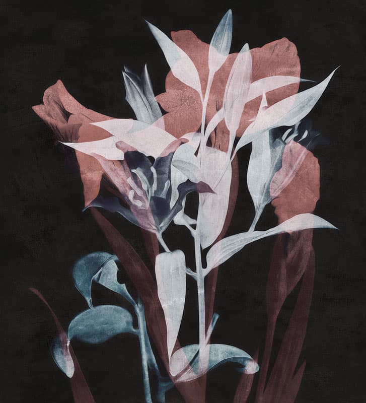 Intersezioni — 20502-03