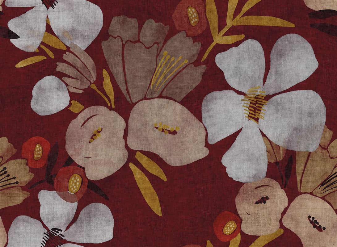 Cassandra by Unknown