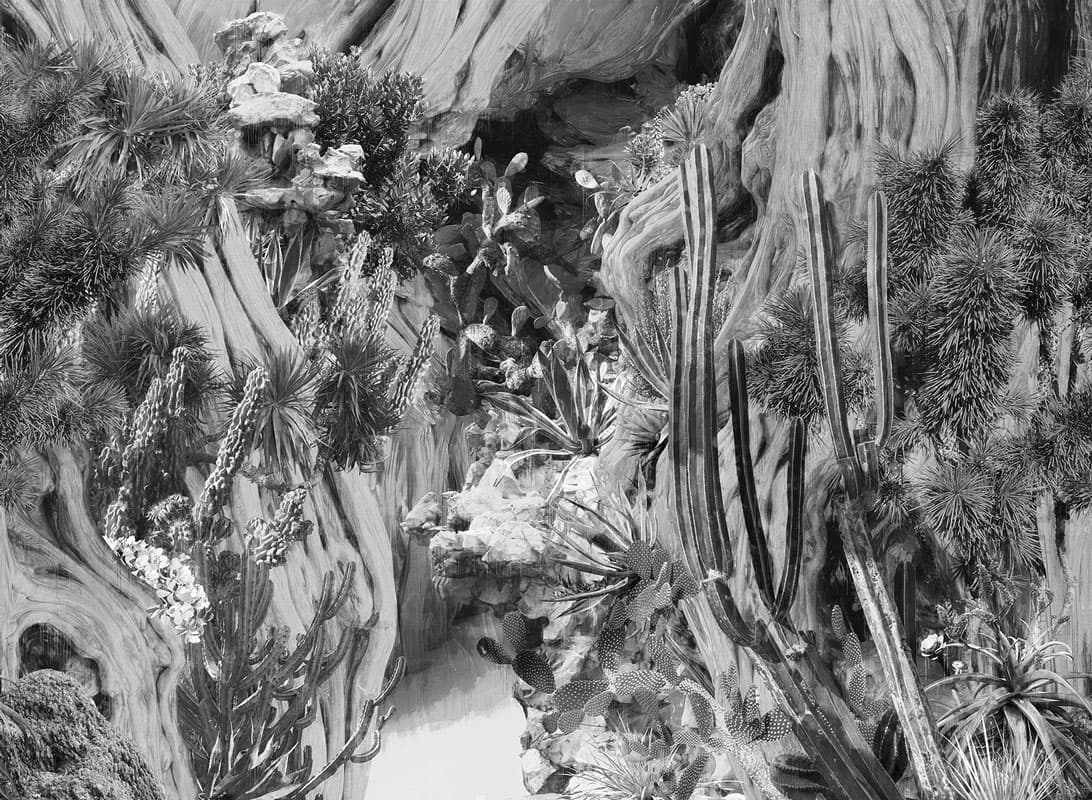 Navajo Dream — 21010-04