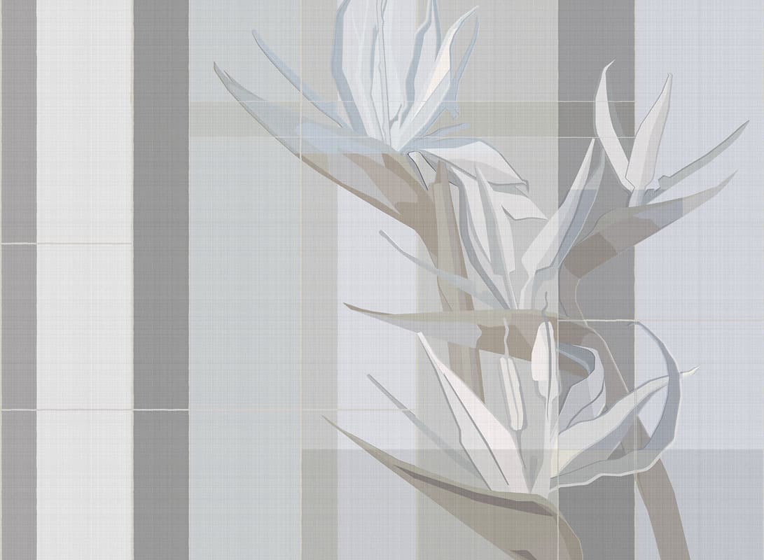 Strelitzia — 21012-03