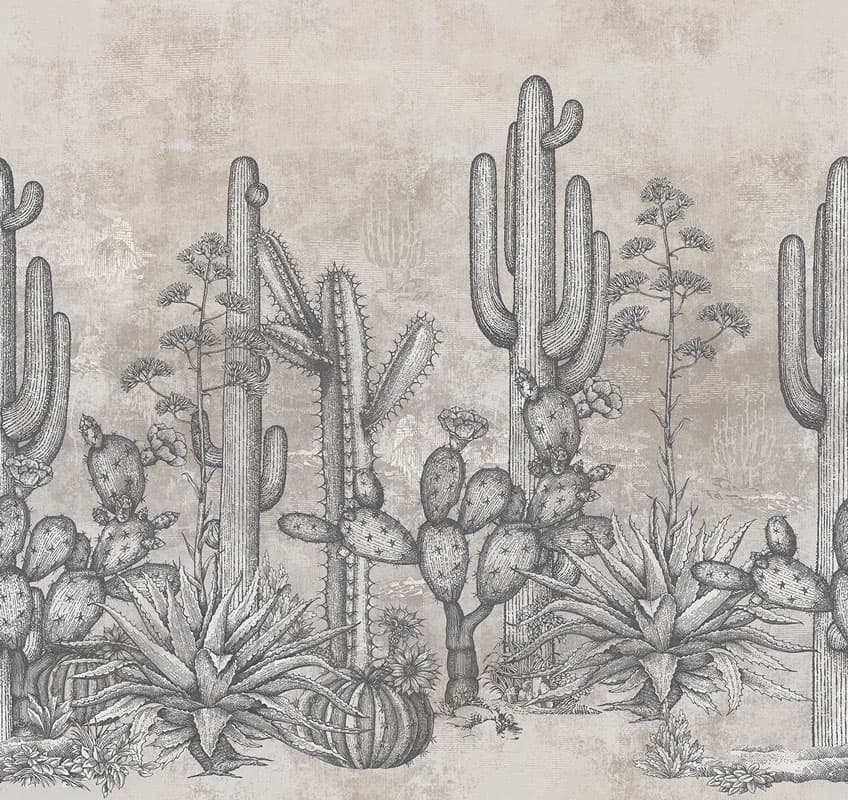 San Pedro by Unknown