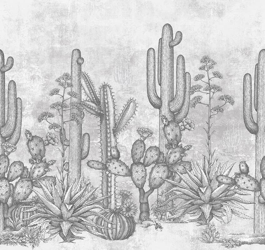 San Pedro — 21038-02