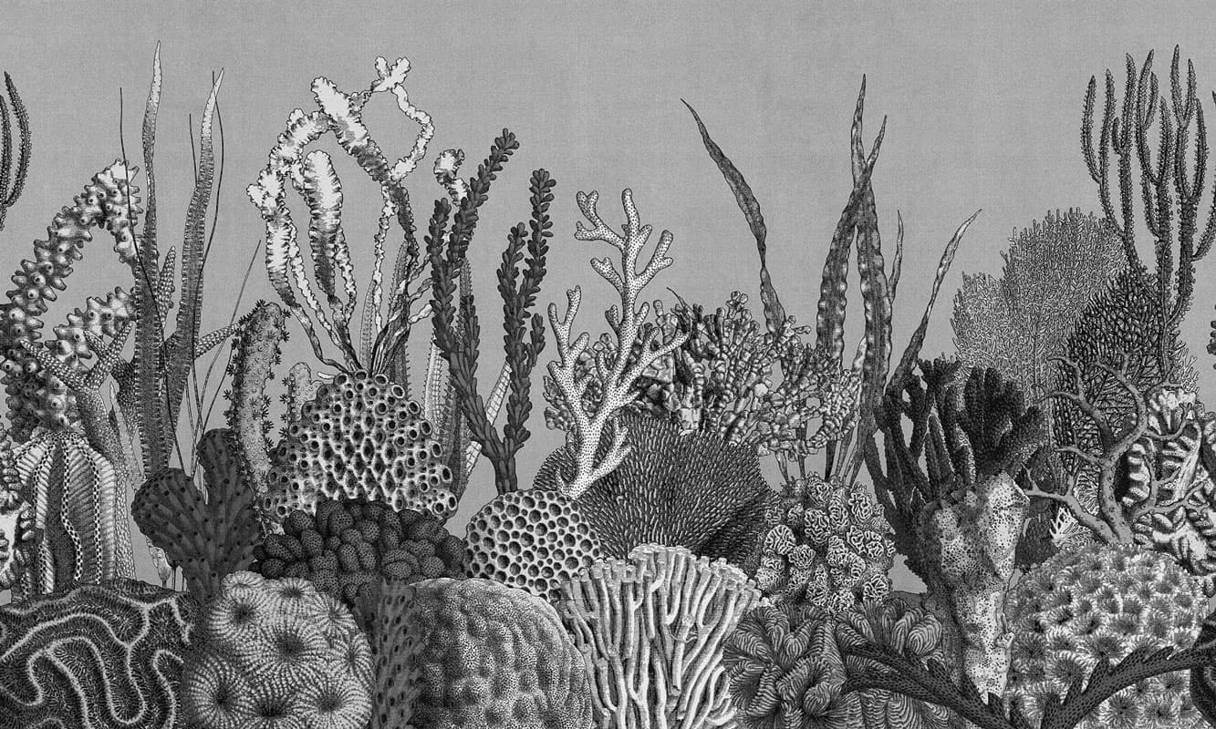 See Sea — 21044-02