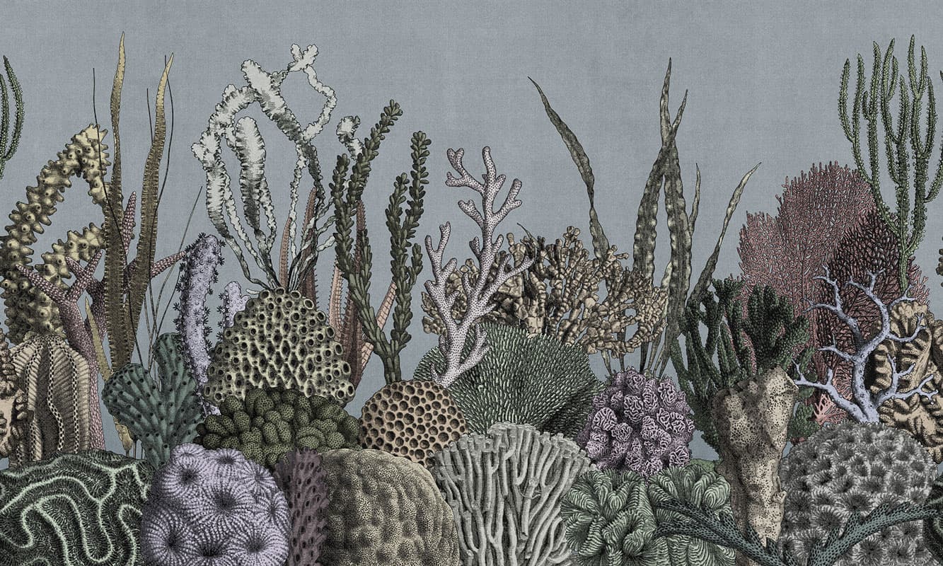 See Sea — 21044-03