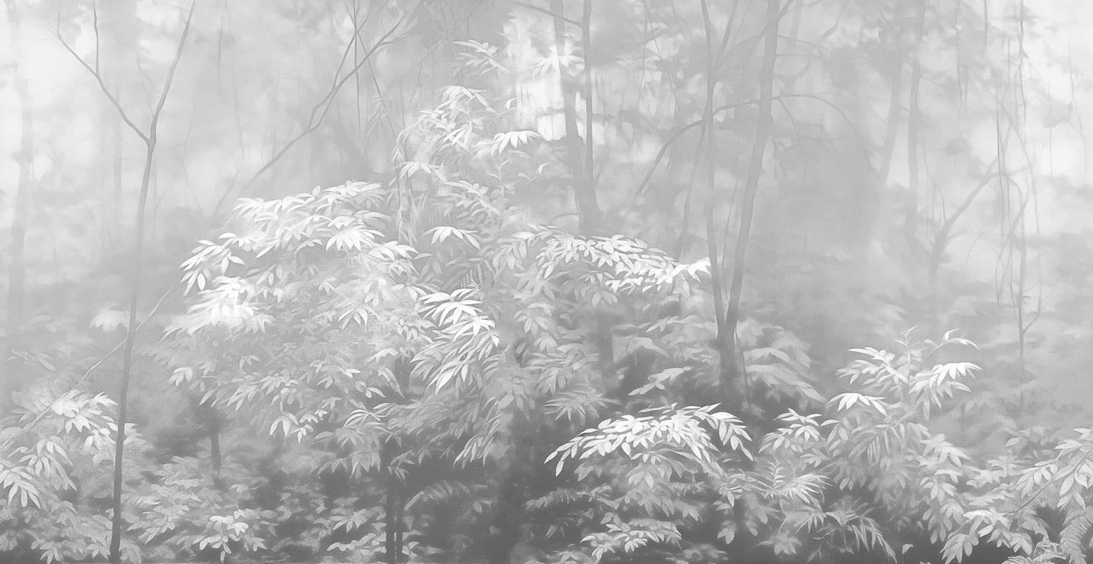 Into the Woods — 24019-2