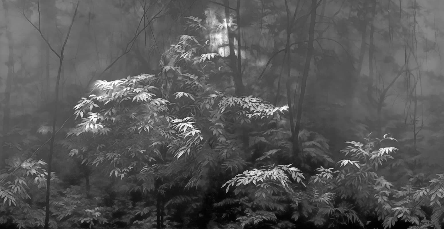 Into the Woods — 24019-3