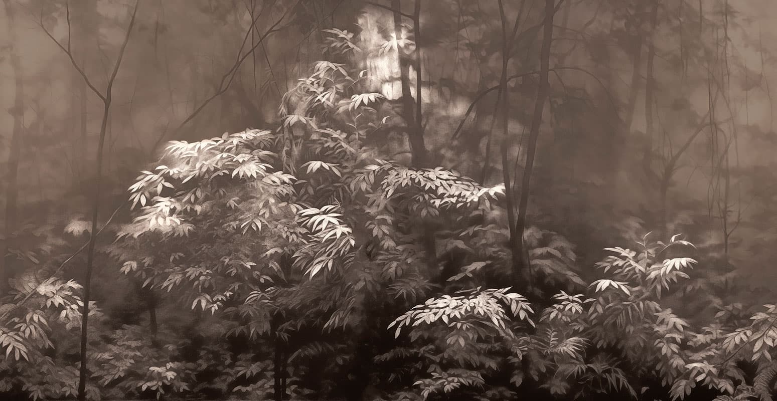 Into the Woods — 24019-4