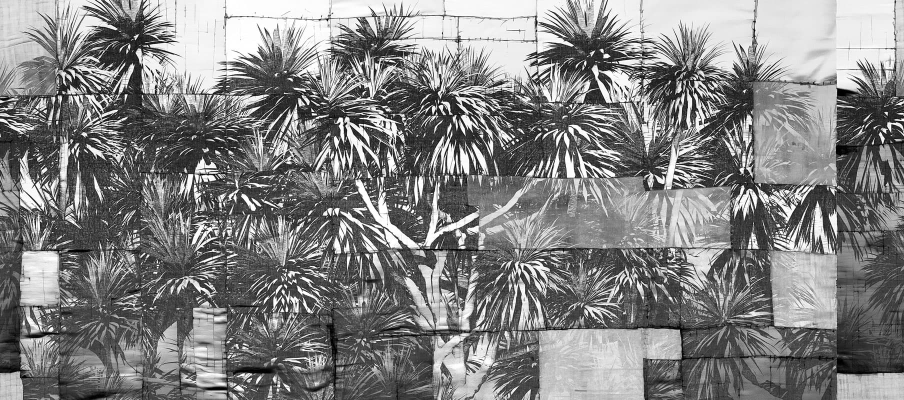 Australis by Nicola Bottegal