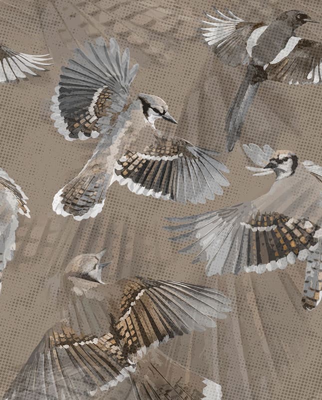 Symphonia — 24046-2