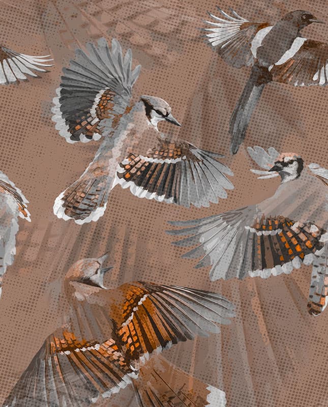 Symphonia — 24046-3