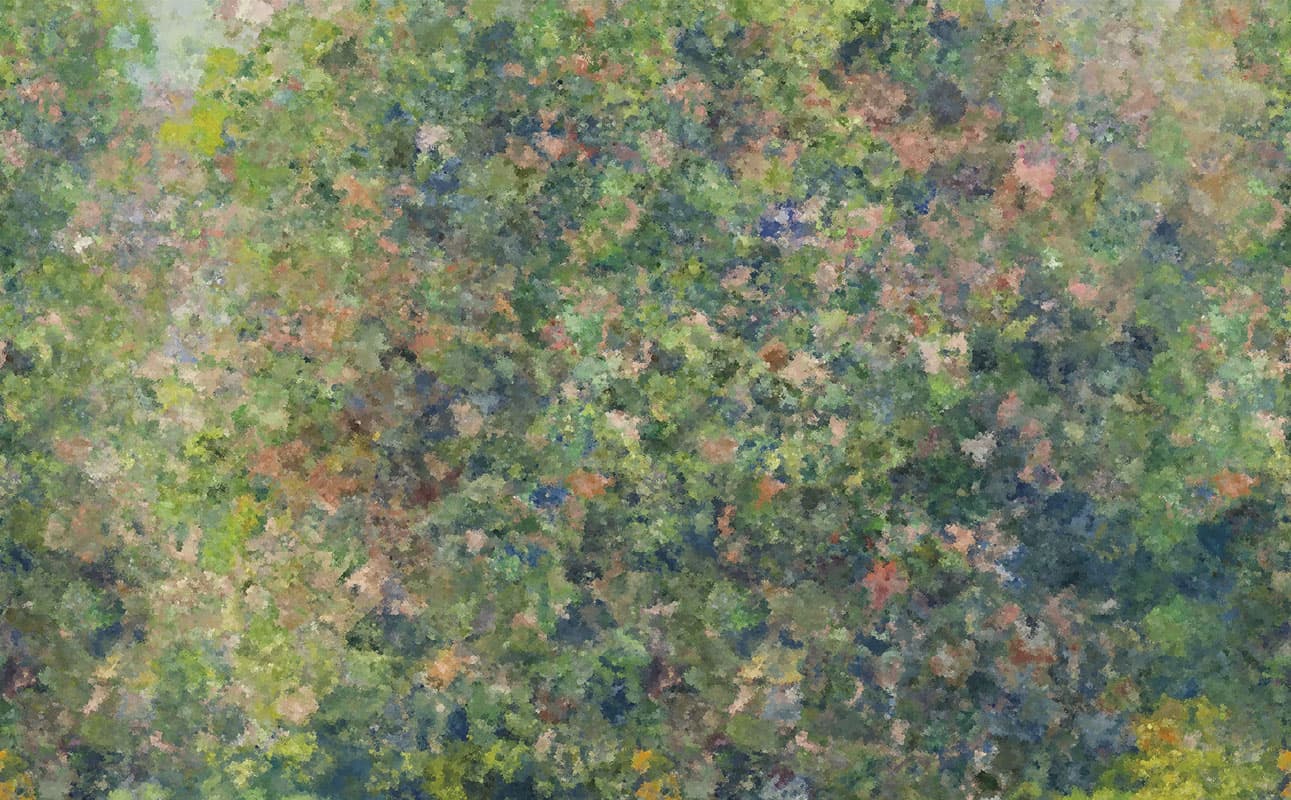 Giovannoni design - Re-Impress Flowers — 24048-3