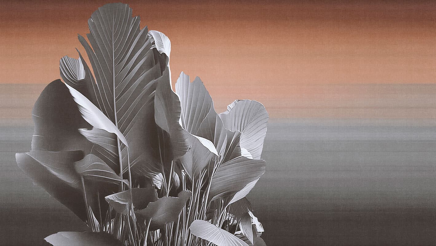 Etherea — 25001-01