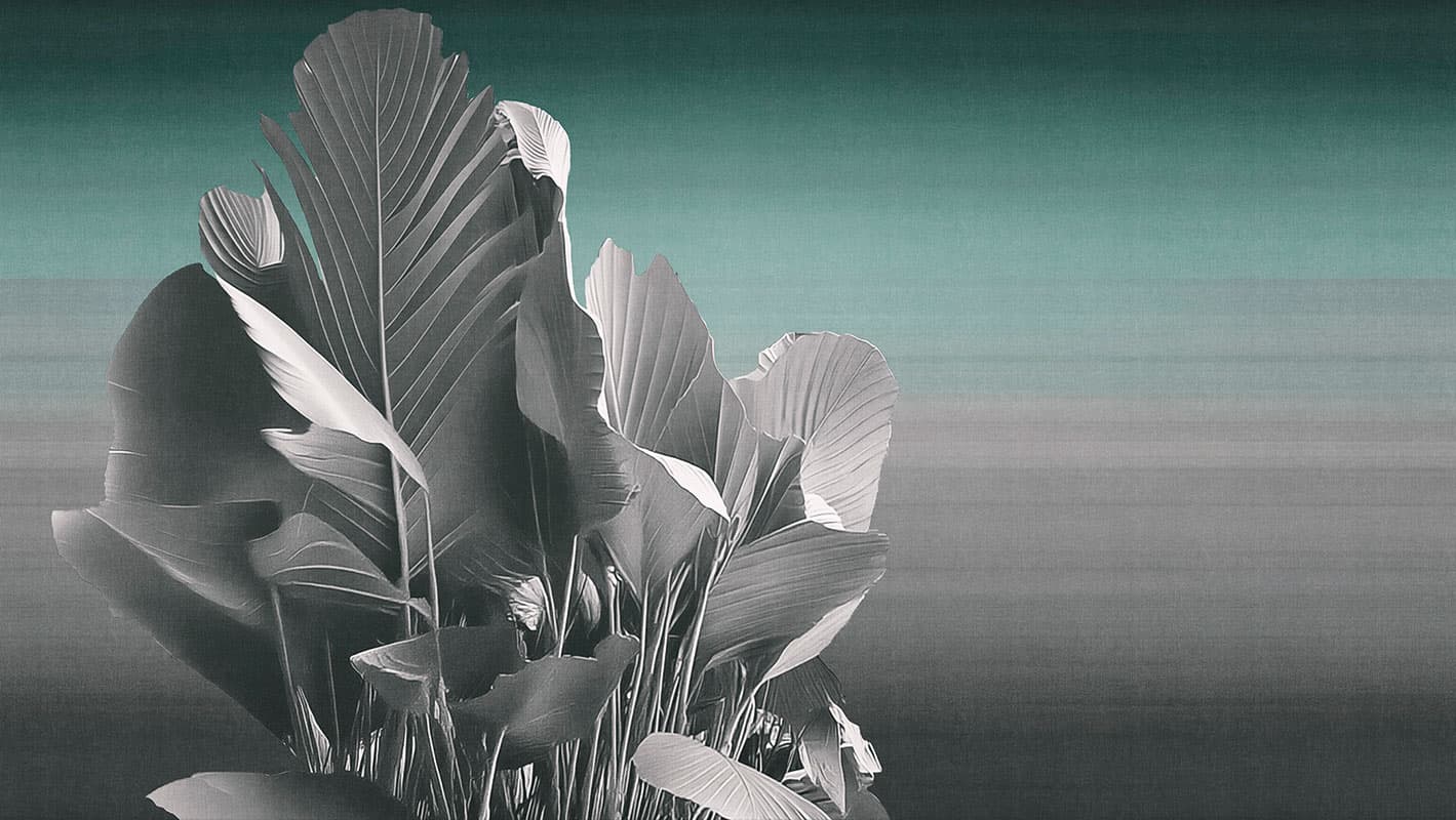 Etherea — 25001-02