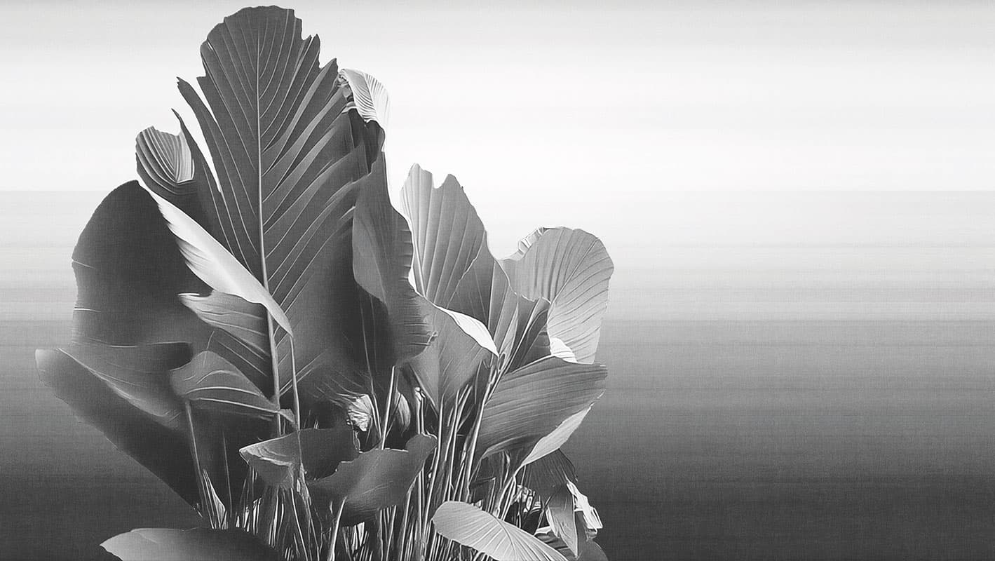 Etherea — 25001-03