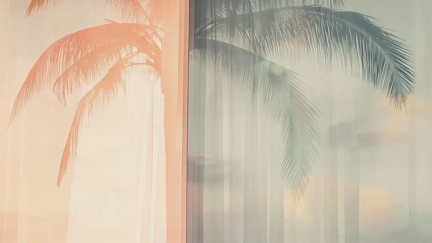 Soft Meridian — 25002-01