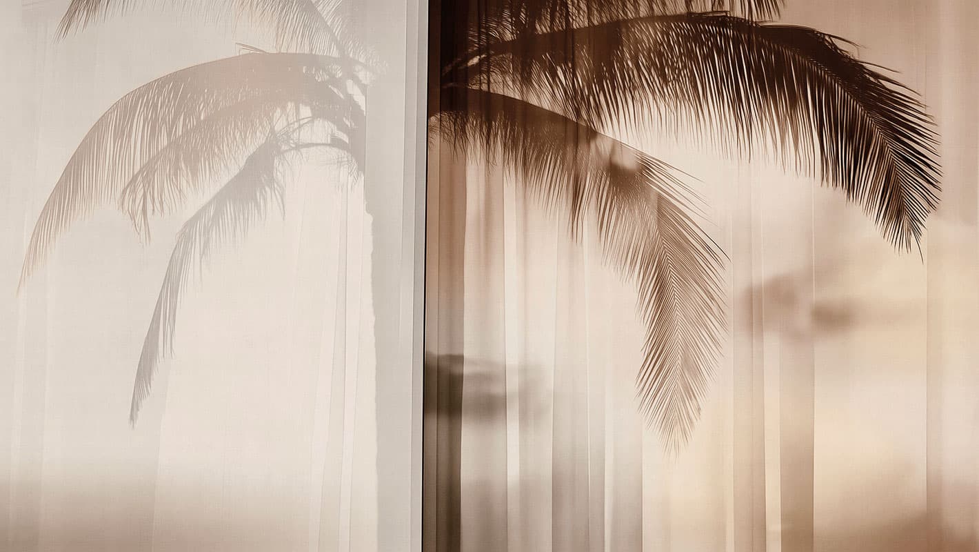 Soft Meridian — 25002-02