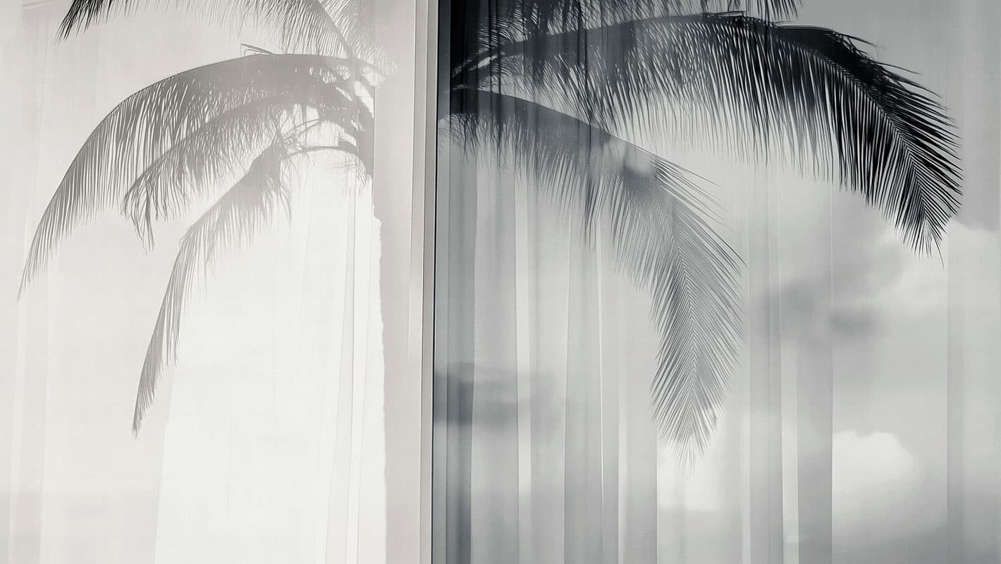 Soft Meridian — 25002-03