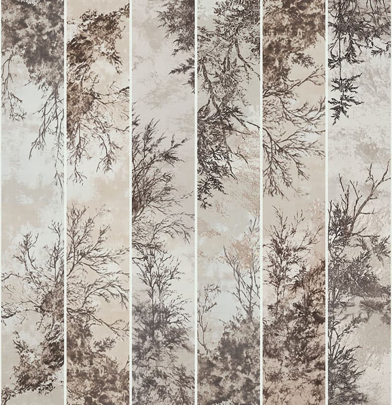 Echoes of the Forest — 25036-01