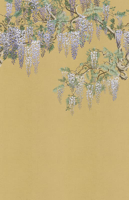 Iromuji by Tale Books