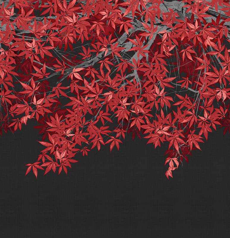 Tsukesage — KMN20-C-N