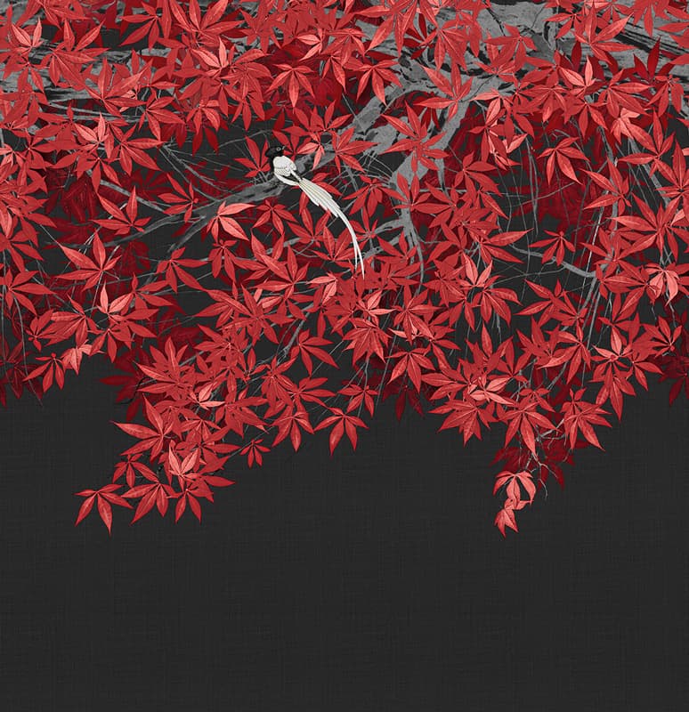 Tsukesage — KMN20-C