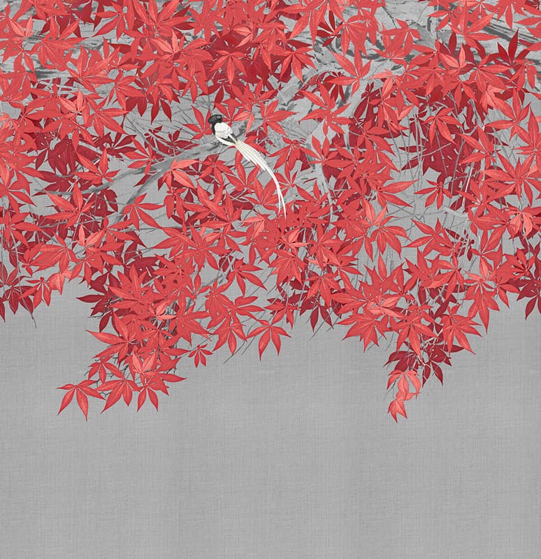 Tsukesage — KMN20-D