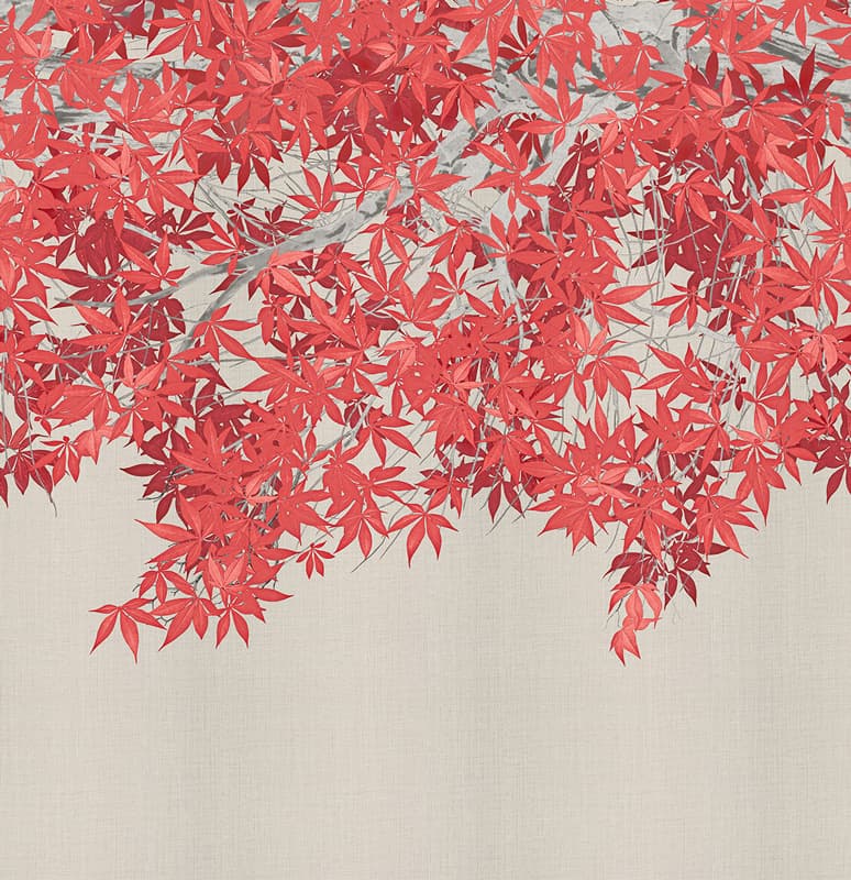 Tsukesage — KMN20-E-N