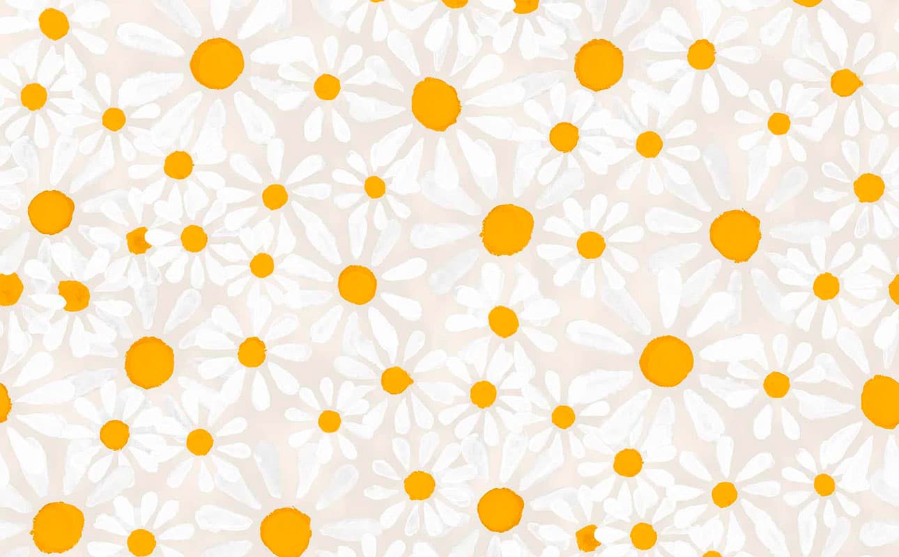 Euphoria — MRN01-4