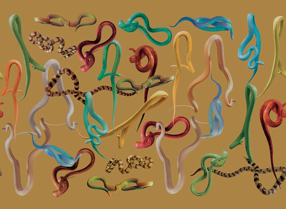 SNAKES STORM — 01TP-2