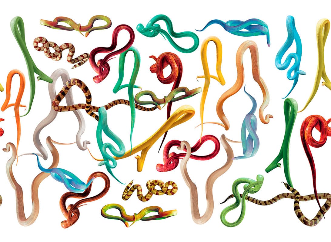 SNAKES STORM — 01TP-3