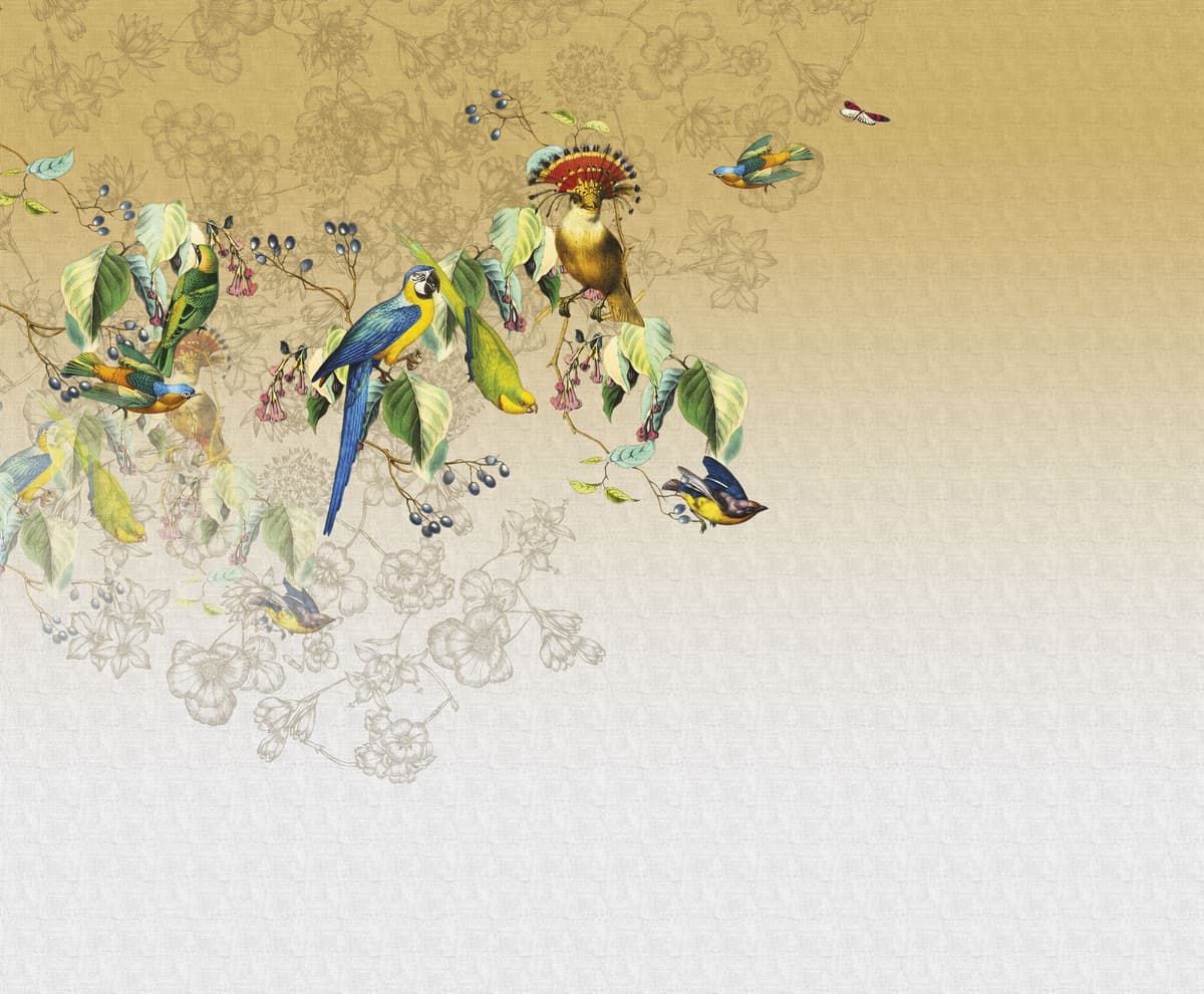 Valery's Parrot by Unknown