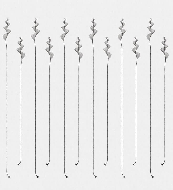 Spirali — 18509-02