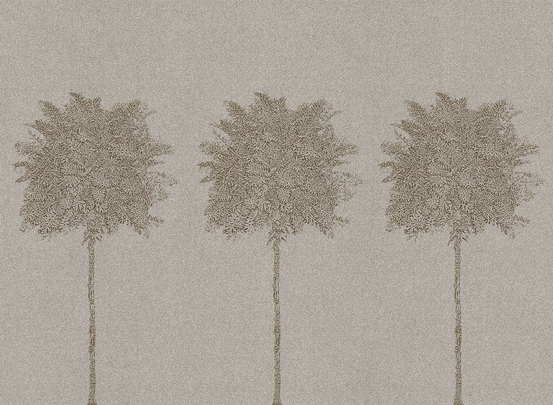 trees — 19036-02