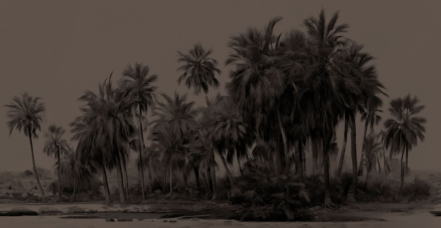 Marrakech — 24028-2