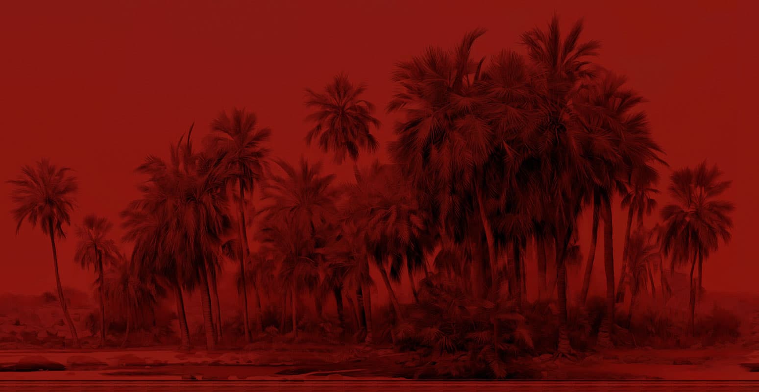 Marrakech — 24028-4