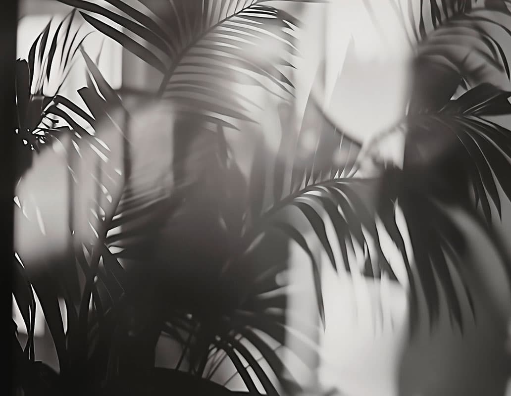 Linear Palms — 25016-01