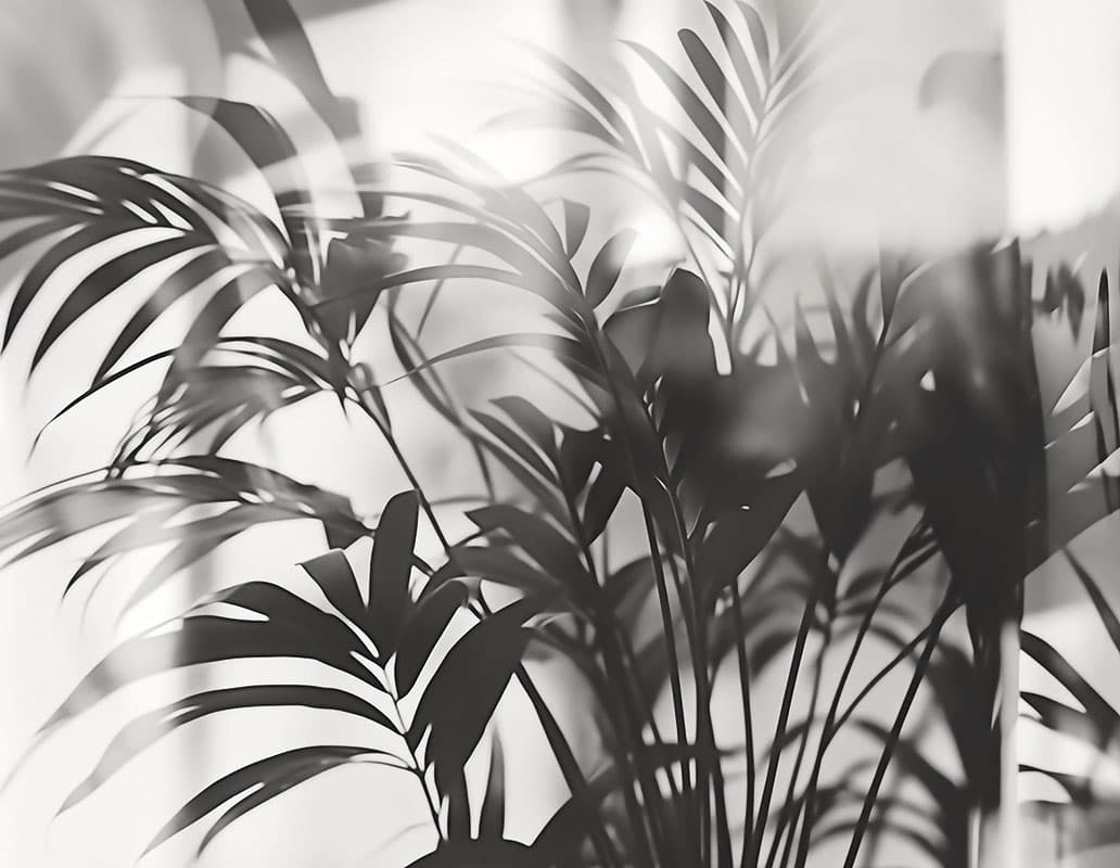 Linear Palms — 25016-02