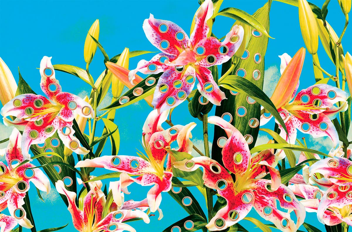 HOLES OF PARADISE by TOILETPAPER