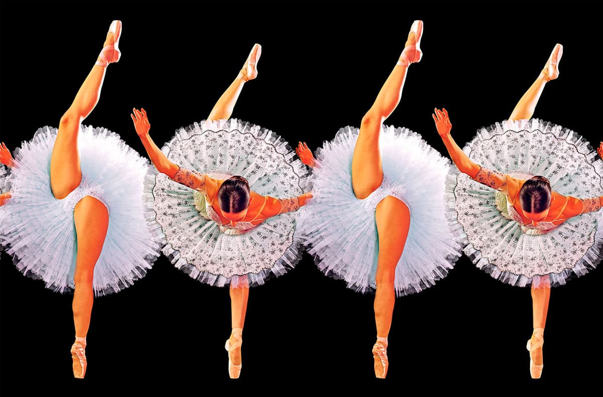 BOLSCHOI COLLECTION by TOILETPAPER