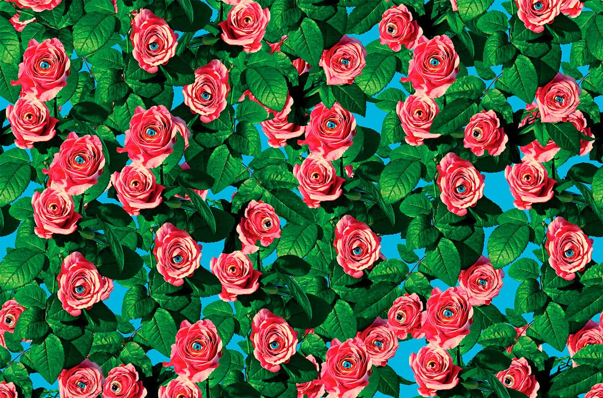 EYES & ROSES by TOILETPAPER