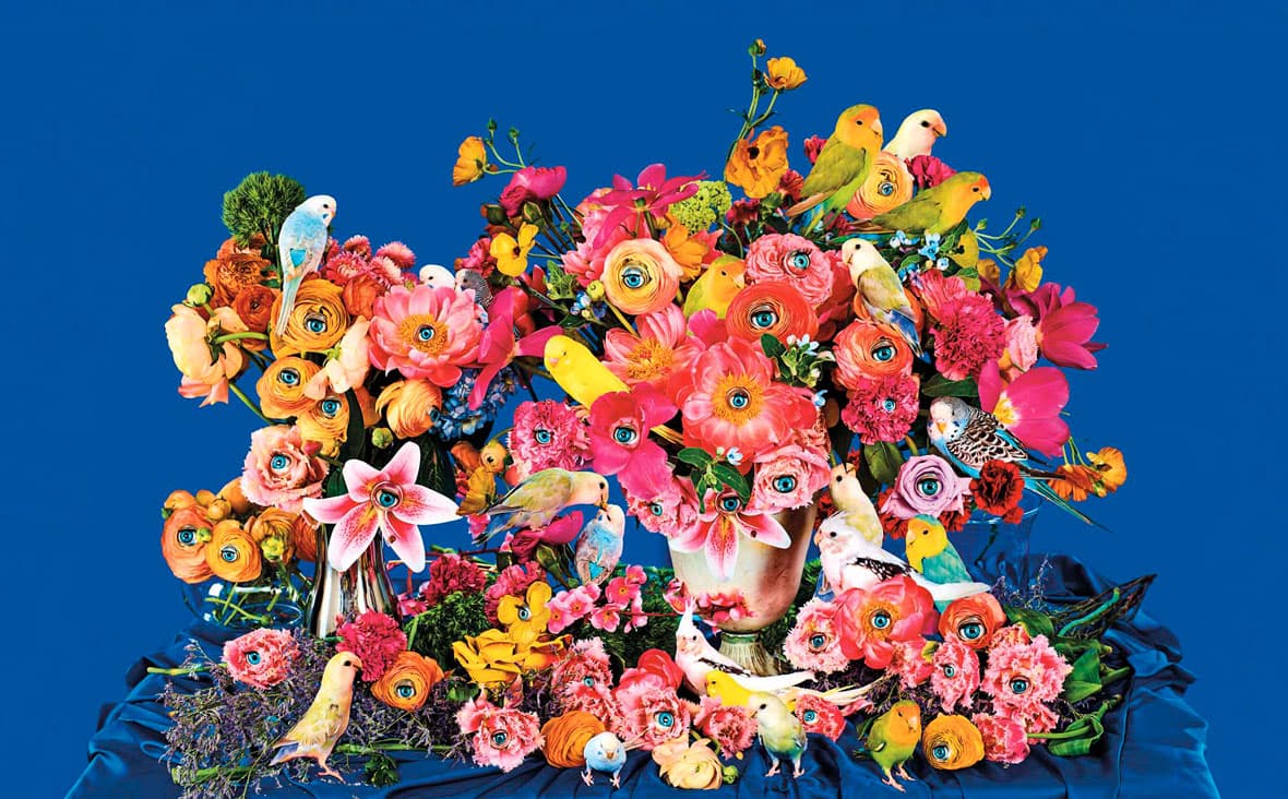 BIRD WATCHING by TOILETPAPER