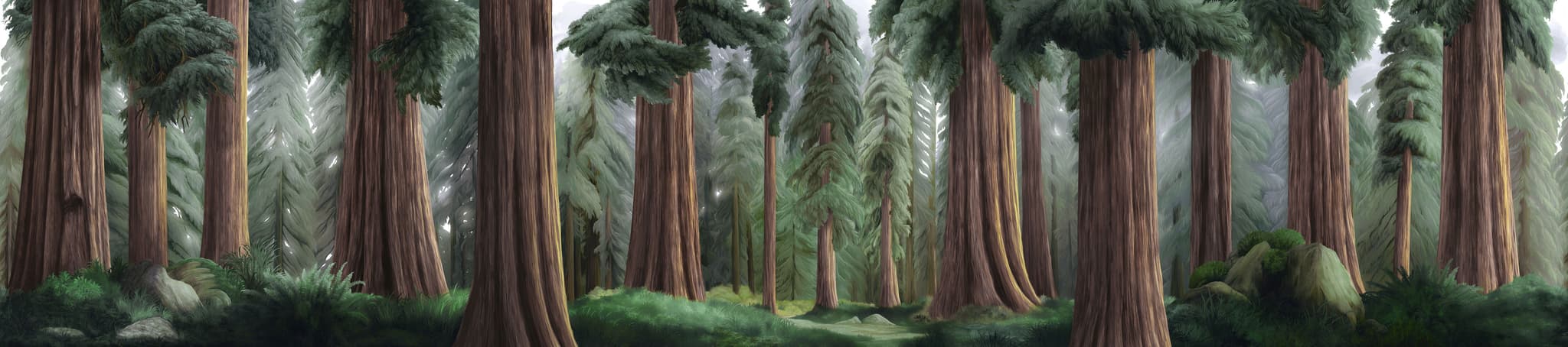 La Forêt Éternelle — Still Life 1