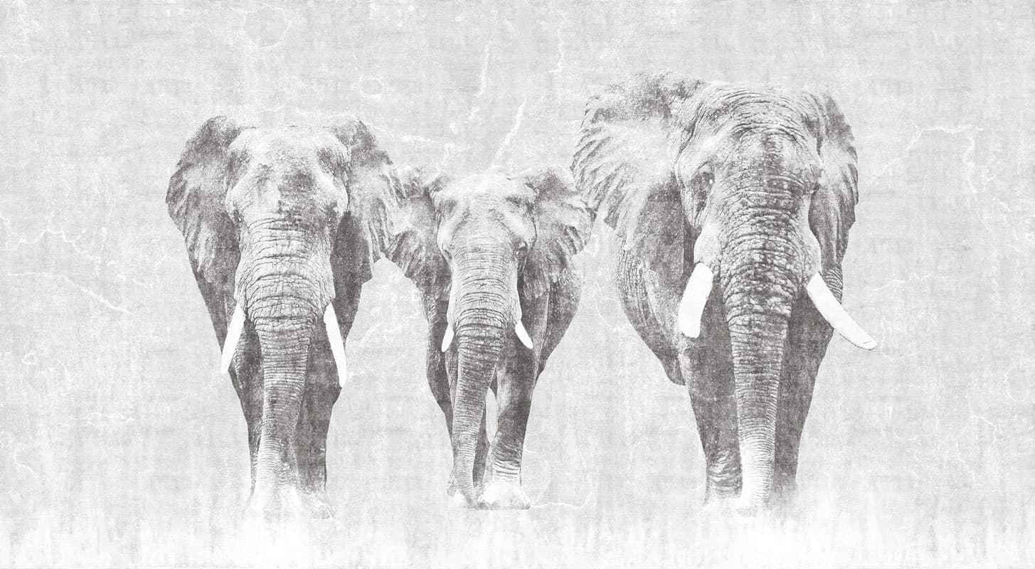 Africa — 13AF-02A