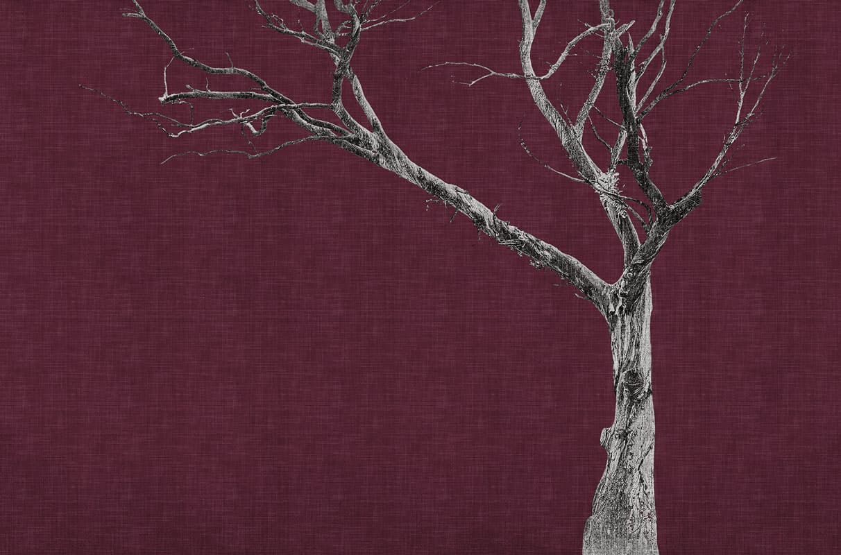 Brambles by Unknown