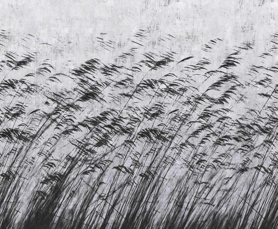 Gone With The Wind, 15134-3
