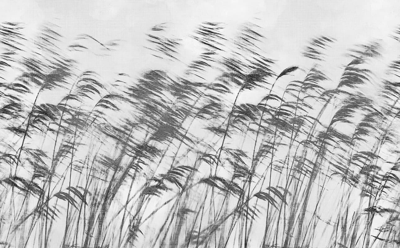 Gone With The Wind, 15134-6
